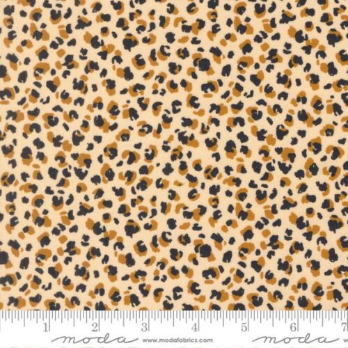 40076 12 Leopard Blender, Safari Song by Watercolour Heart