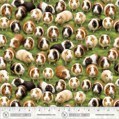 55888D-1 Grass Guinea Pig, Wildlife by Whistler Studios