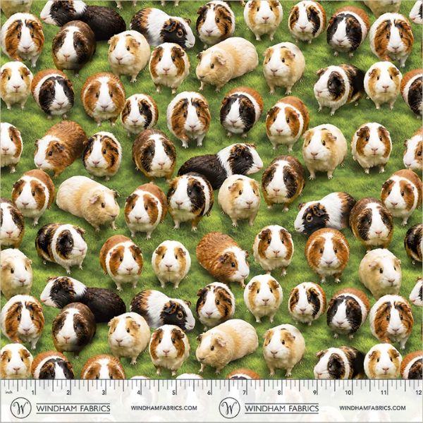 55888D-1 Grass Guinea Pig, Wildlife by Whistler Studios