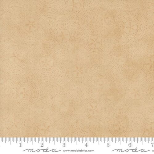 56205 12 Sand Dollar Sand, Seaside by Deb Strain