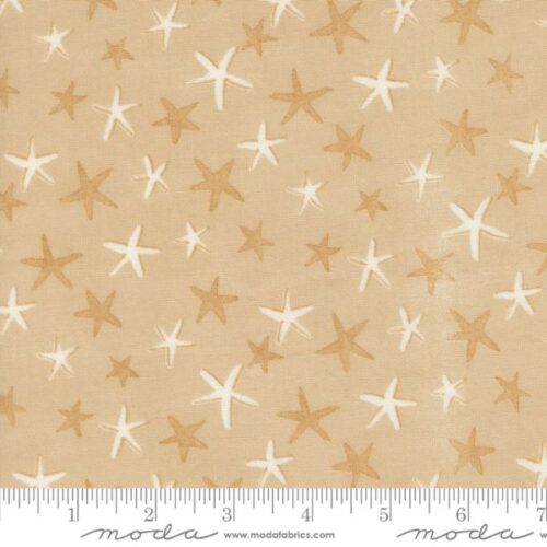 56206 12 Starfish Dance Sand, Seaside by Deb Strain