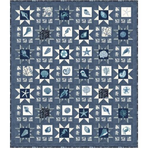 Hidden Treasures Dark Quilt Kit, Seaside by Deb Strain