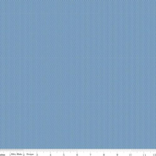 C805 POparazzi Wash Denim, Sea Echoes, by Riley Blake