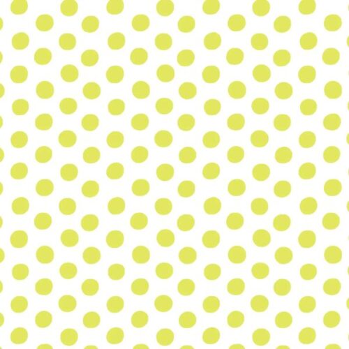 PWGP070.Sprout Spot: Kaffe Fassett Collective: Classics