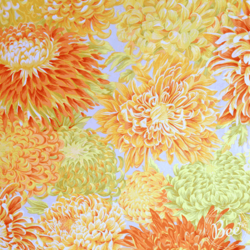 PWPJ041.Yellow Japanese Chrysanthemum by Philip Jacobs
