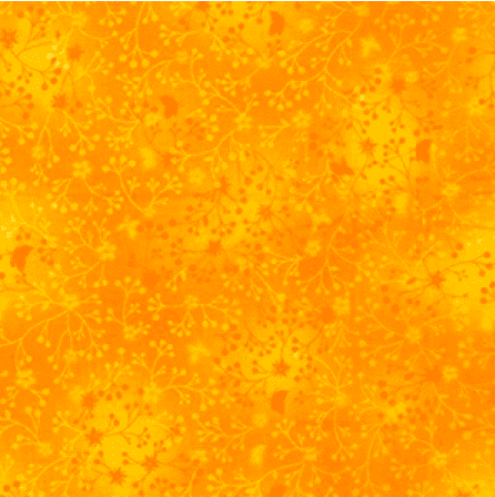 JLC0081 Flutter - Sunshine