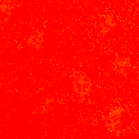 JLC0081 Flutter - Orange