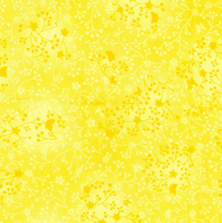 JLC0081 Flutter - Lemon