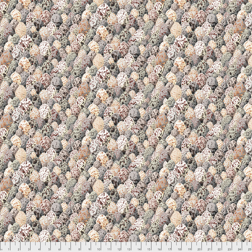 arcadia pwsl069Neutr Snow Leopard Philip Jacob