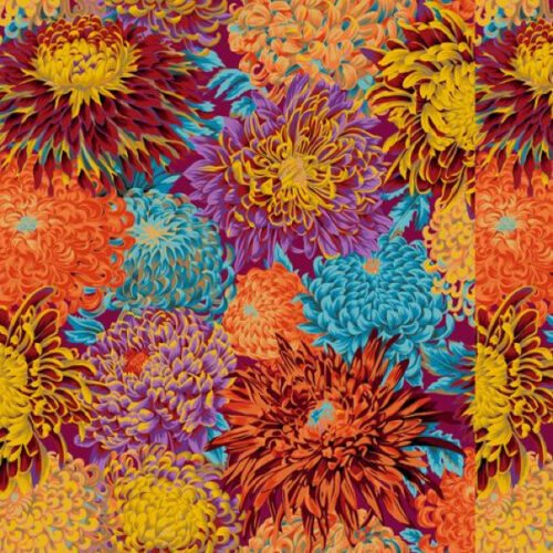 japanese chrysanthemum autumn PWPJ041.autum