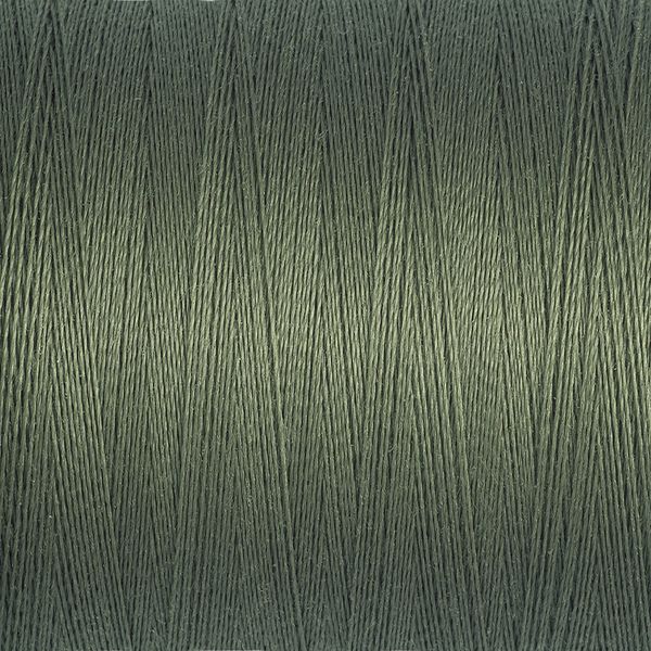 Sew All Thread Col.824