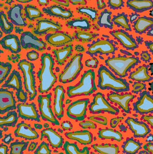 Kaffe Fassett Collective PWBM076.Orange