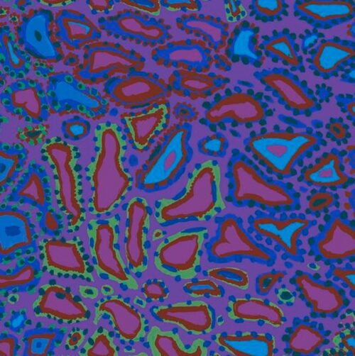 Kaffe Fassett Collective PWBM076.Purple