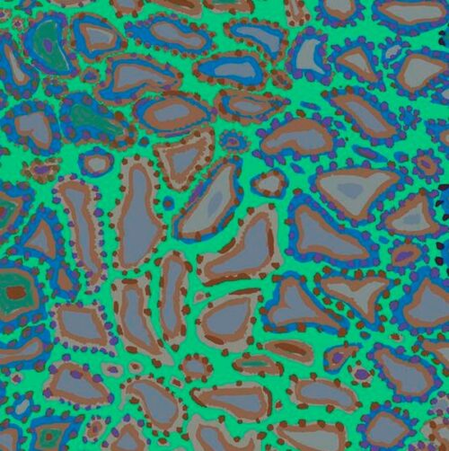 BM76 - Animal - Brandon Mably - Kaffe Fassett Collective