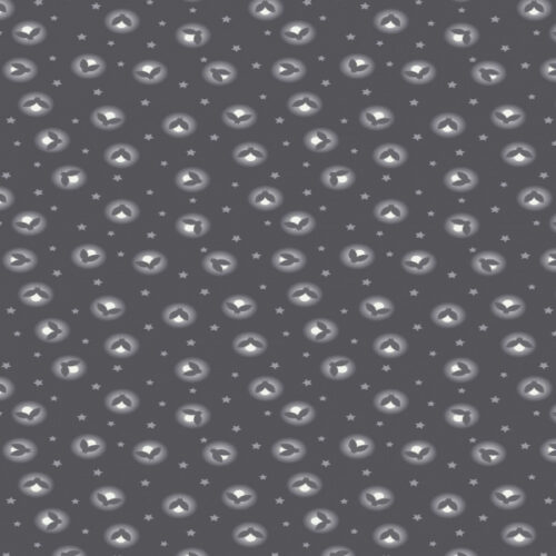 Nighttime in Bluebell Wood A475.3