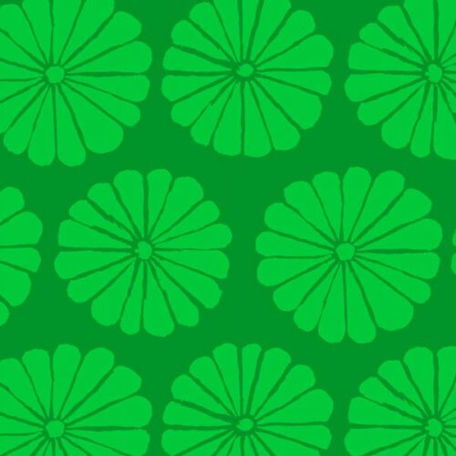 Kaffe Fassett Collective PWGP183.Lime