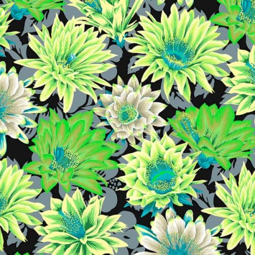 Kaffe Fassett Collective PWPJ096.Contrast