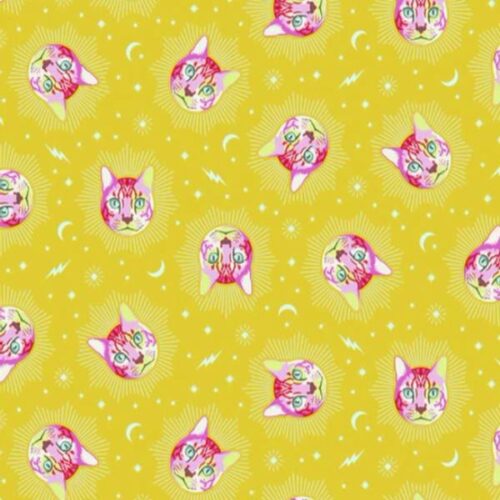 Curiouser & Curiouser PWTP164.Wonder