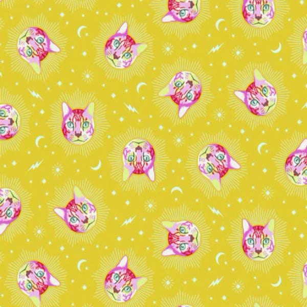 Curiouser & Curiouser PWTP164.Wonder