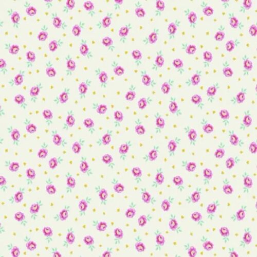 Curiouser & Curiouser PWTP167.Sugar