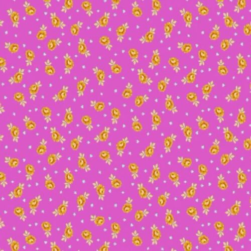 Curiouser & Curiouser PWTP167.Wonder