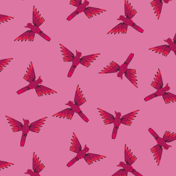 Night Jungle Jung1646