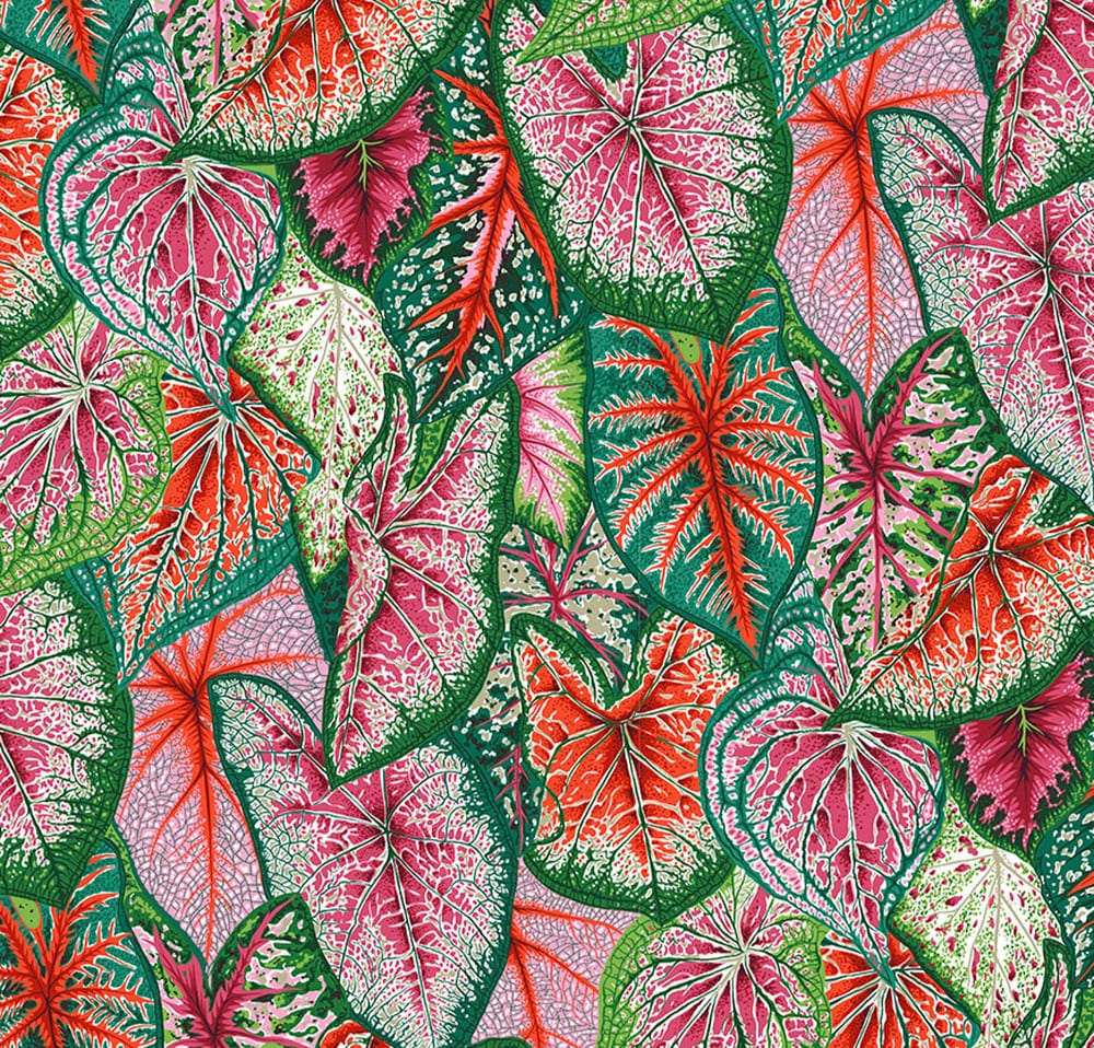 PWPJ108.Bright Caladiums Kaffe
