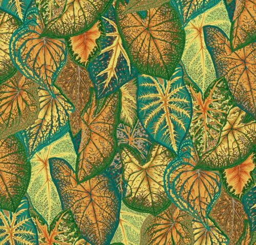 Caladiums PWPJ108.Gold Kaffe