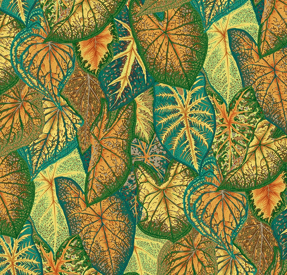 Caladiums PWPJ108.Gold Kaffe