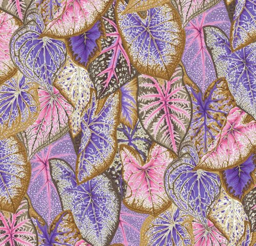 Caladiums PWPJ108.Pastel Kaffe