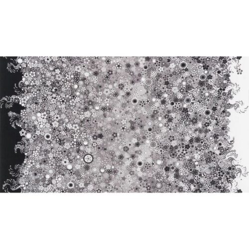 AAQD18159188 Pepper Double border – Circles & Dots Effervescence Collection