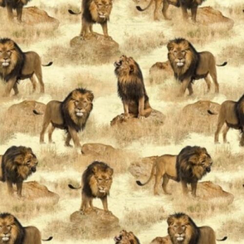 African Safari 78830.110