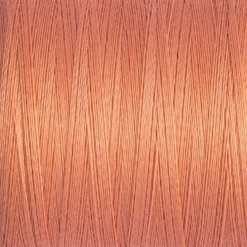 Sew All thread Col.587