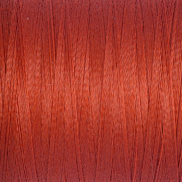 Sew All thread Col.589