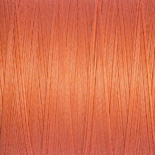 Sew All thread Col.895