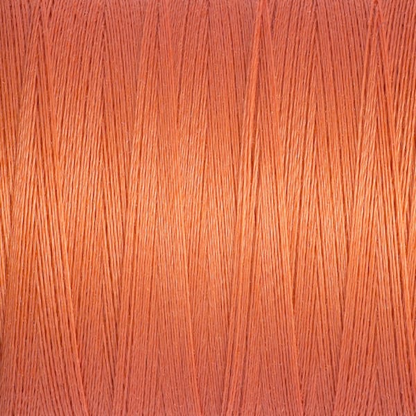 Sew All thread Col.895