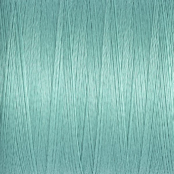 Sew All thread Col.924