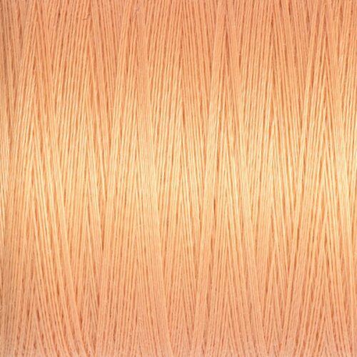 Sew All thread Col.979