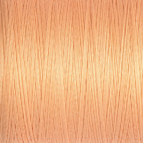 Sew All thread Col.979