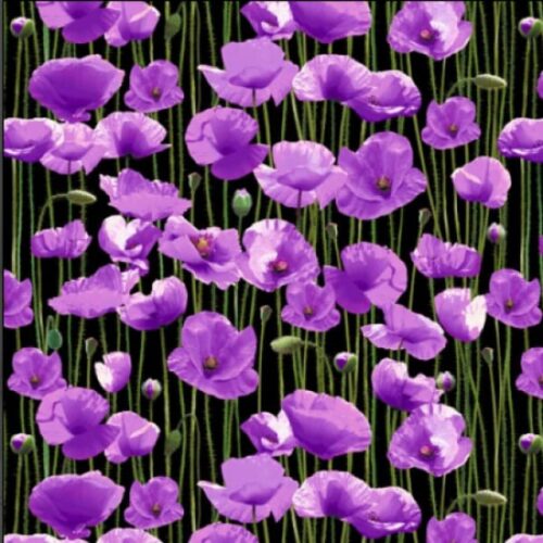 Animals of War 78880 Col. 102