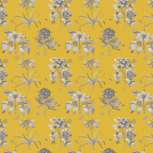 A Celebration of Sanderson PWSA021.Yellow.