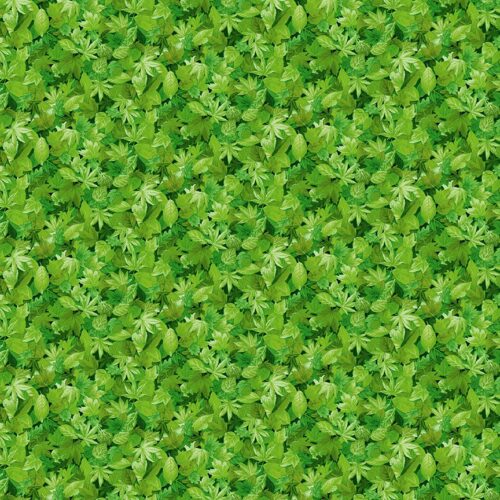 1354 G3 leaves Landscapes