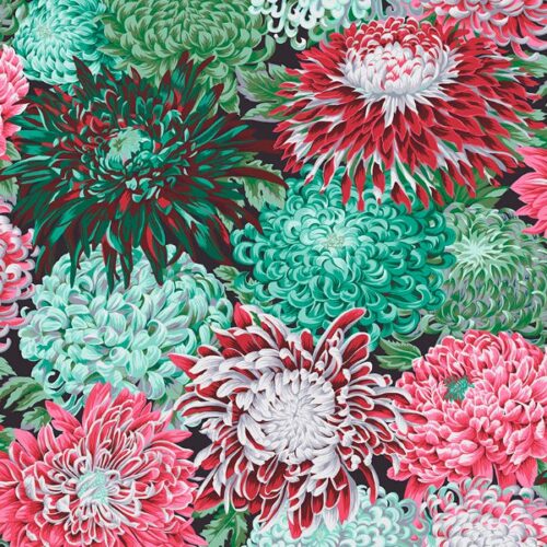 PWPJ041.Blush Japanese Chrysanthemum by Philip Jacobs