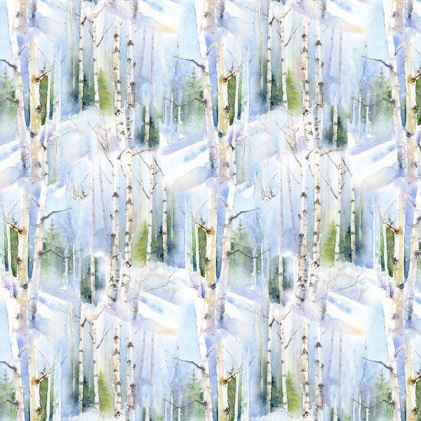 Snowfall on the Range F19285