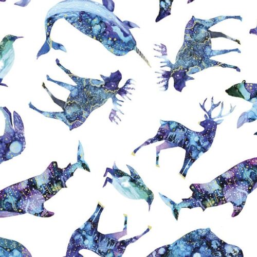 Arctic Wonder F19431