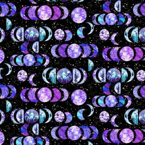 Arctic Wonder F19433