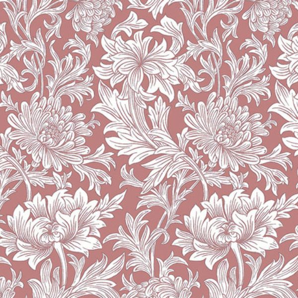 PWWM080.Coral Chrysanthemum Tonal