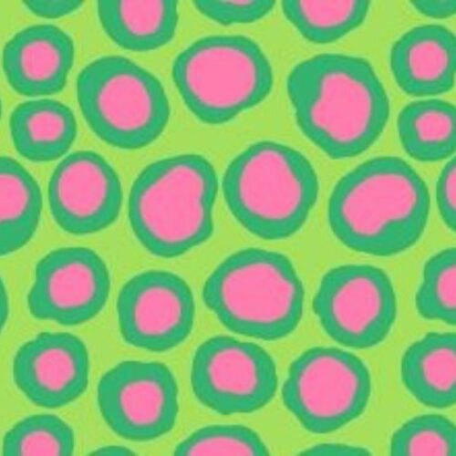 BM07 Fish Lips, Brandon Mably, Kaffe Fassett Collective