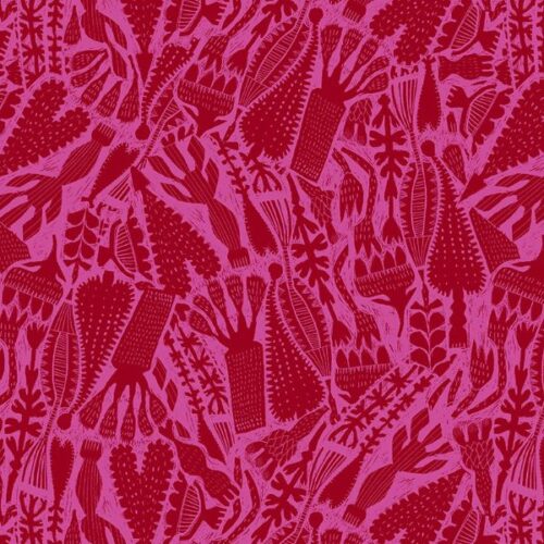 Find the Birds PWES007-Raspberry