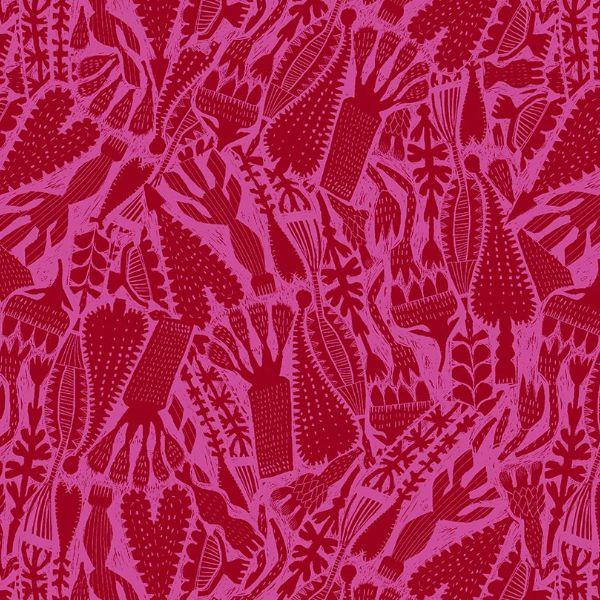 Find the Birds PWES007-Raspberry